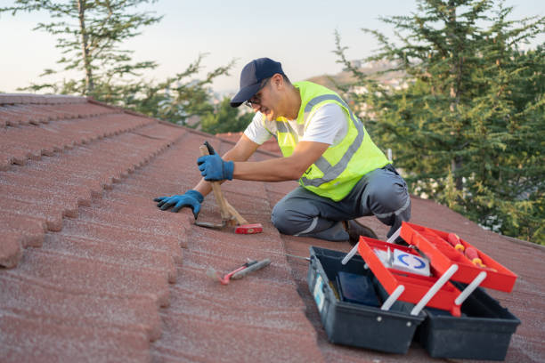 Best Storm Damage Roof Repair  in Tenafly, NJ